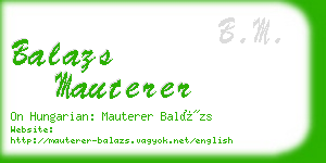 balazs mauterer business card